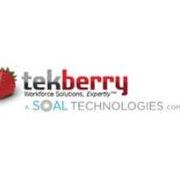 Tekberry Usa