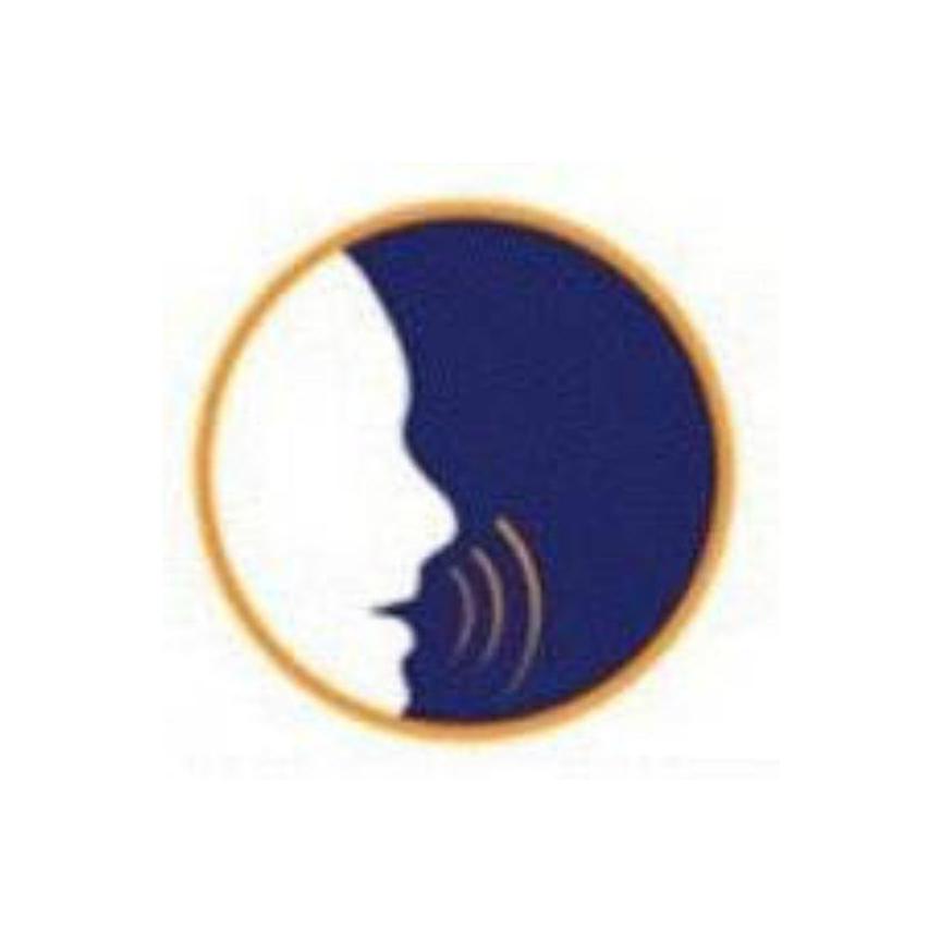 Illinois Language  Services 