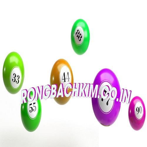 Nh&agrave; C&aacute;i  Rongbachkim