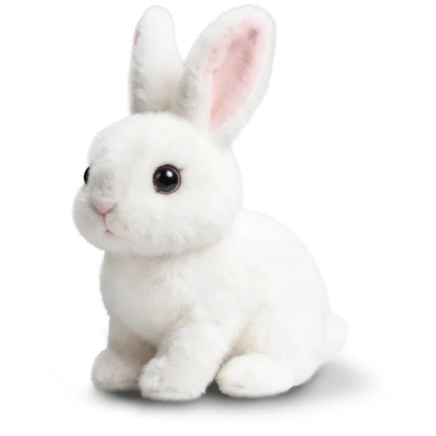 Hoppsy  Robot Bunny